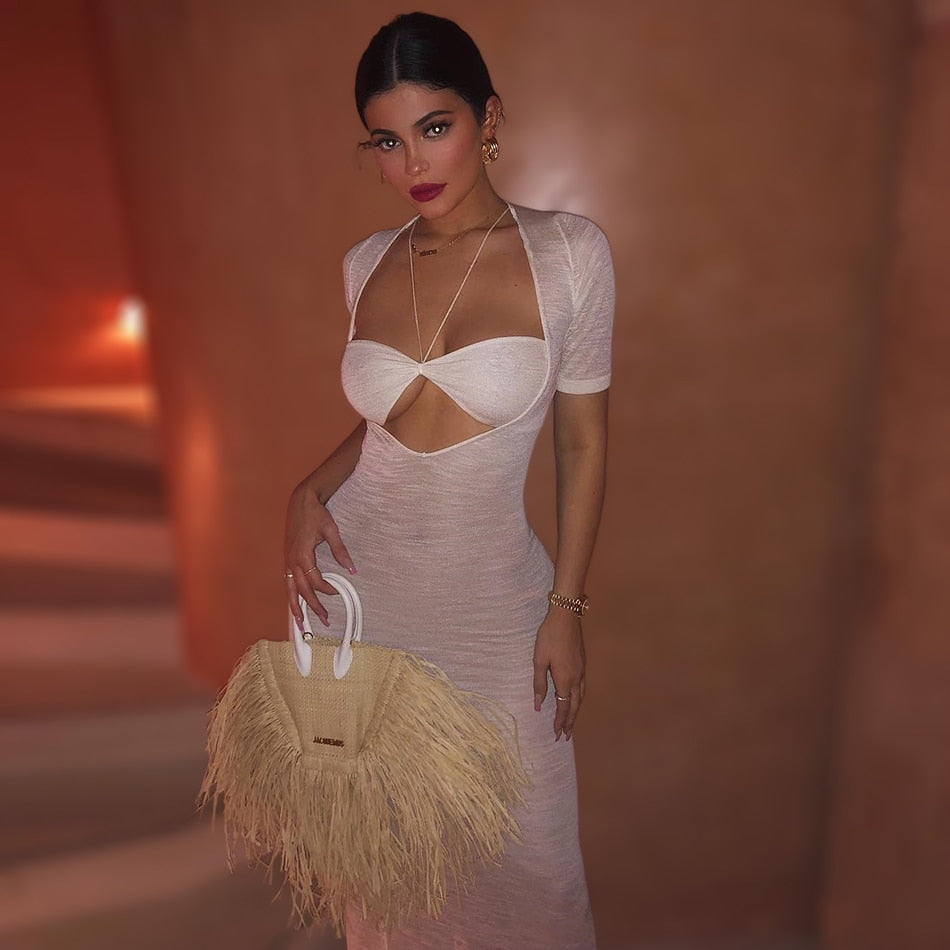 Sheer Sexy Tie Neck Cutout Dress (Evening Gown)