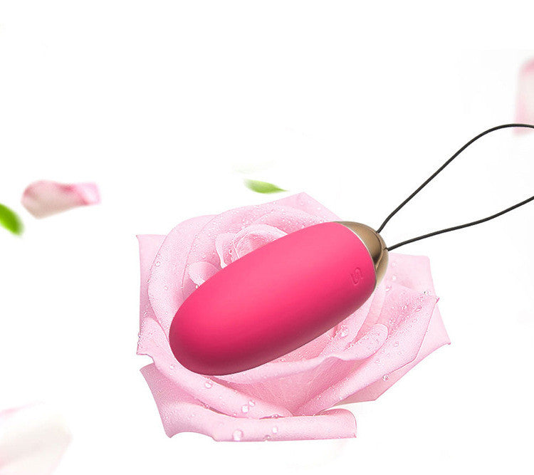 Wireless Remote Control Vibrator for Women